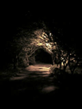 暗闇の路